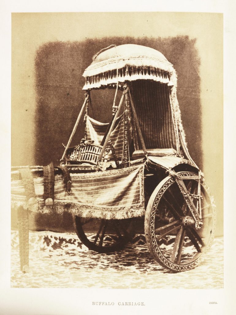 ‘Buffalo Carriage’ by Claude Marie-Ferrier, 1851. © National Science and Media Museum, Bradford / SSPL. Creative Commons BY-NC-SA