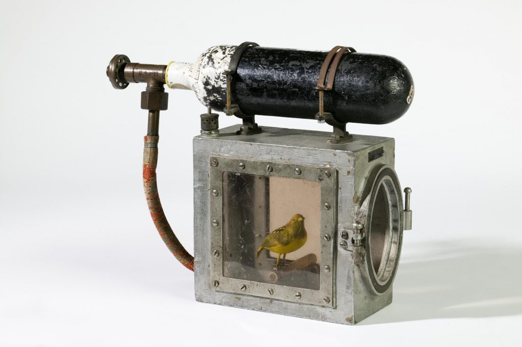 A canary resuscitator - an aluminium cage device housing a canary, used to warn miners of the presence of carbon monoxide
