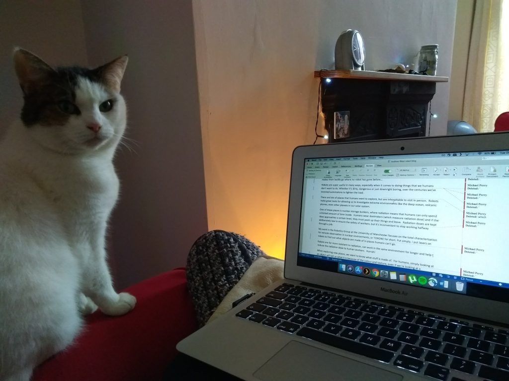 A white cat sat next to a computer