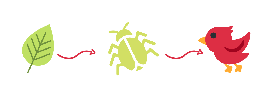 A simple food chain showing a leaf, a bug and a bird. Created by the Science and Industry Museum to illustrate their Plant Power activity. 