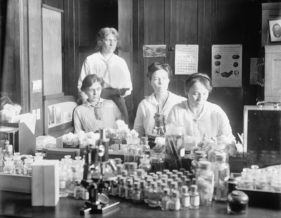 A group of female scientists - standing: Miss Nellie A. Brown; L to R: Miss Lucia McCollock, Miss Mary K. Bryan, Miss Florence Hedges