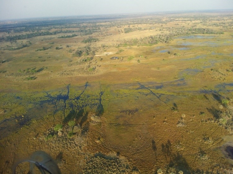 Aerial image of the African plains