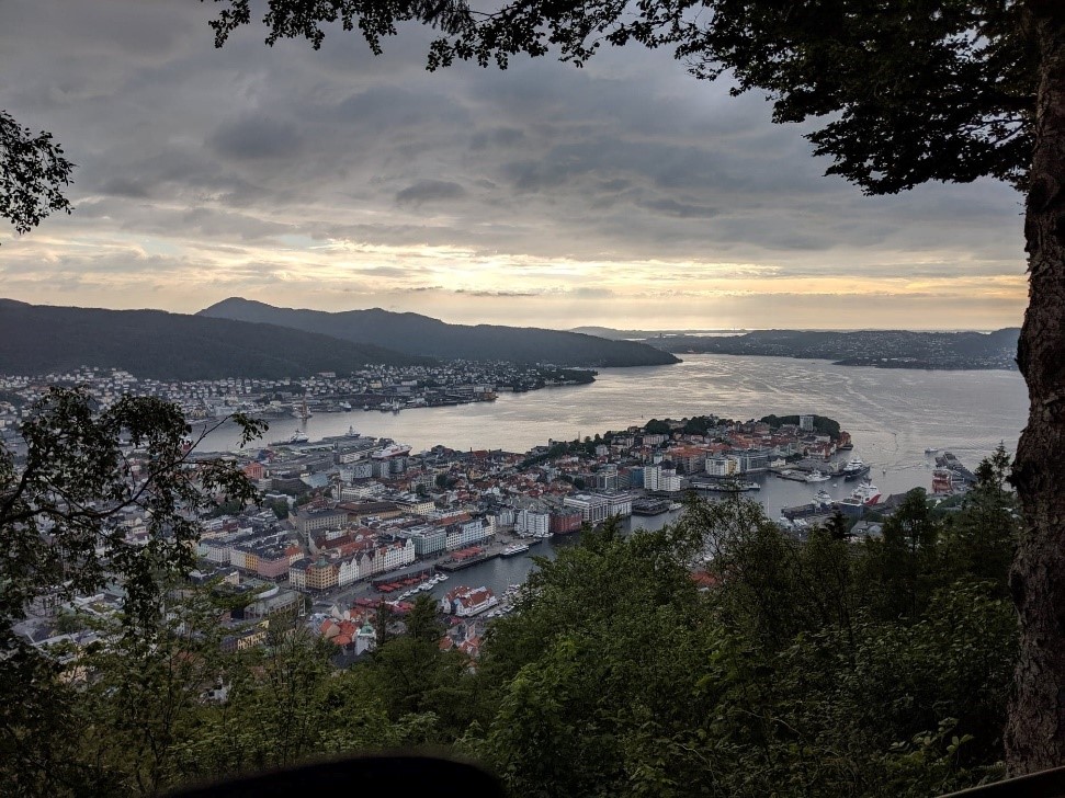View of a Norwegian town from a hillside