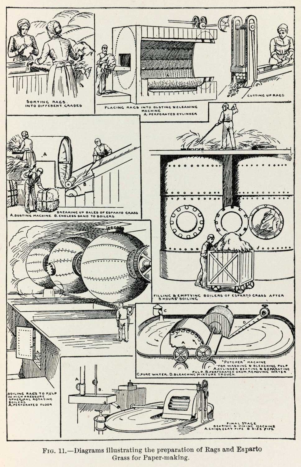 Illustration of the papermaking process