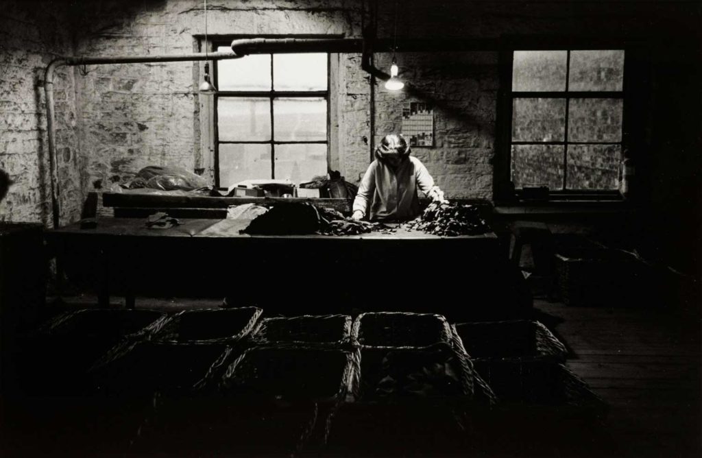 Black and white picture of a young woman sorting through rags in a factory