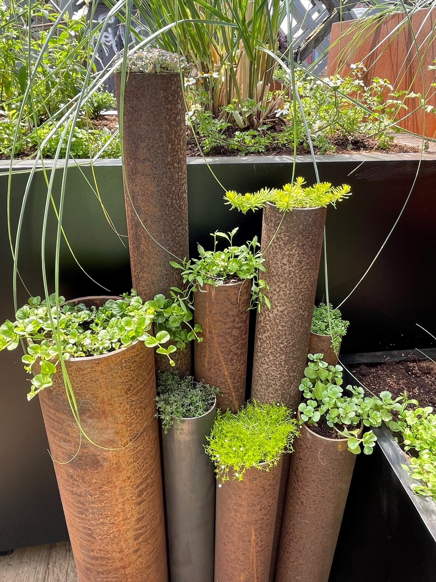 A series of metal pipes with plants growing out the top of them