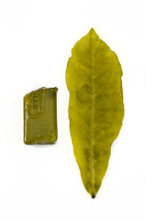 green-wax-3-300