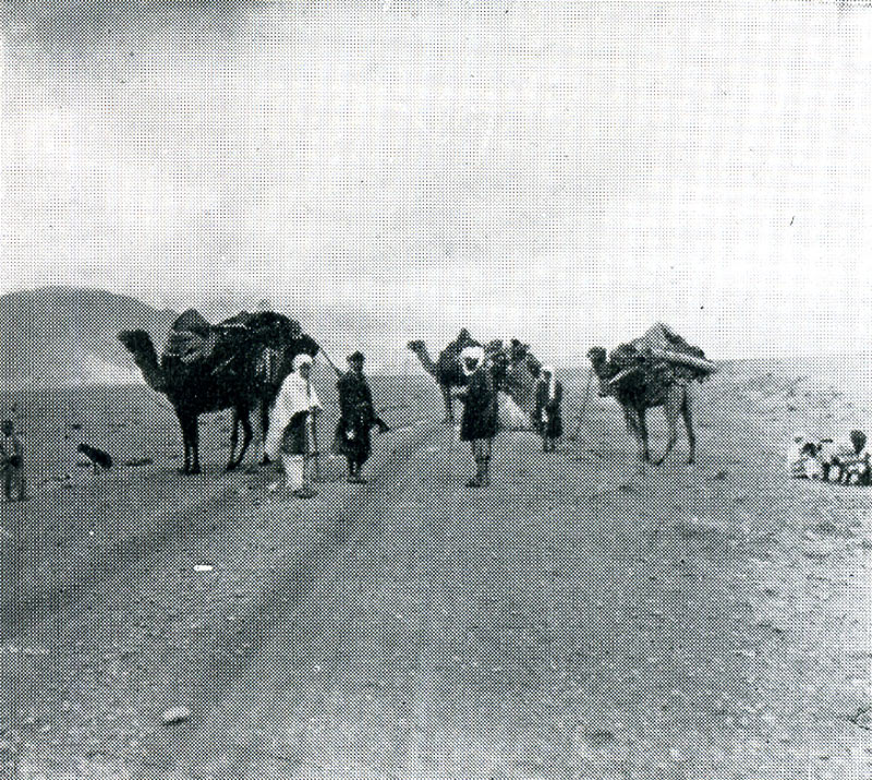 Images of northwest India from Beyer, Peacock Quarterly Journal 1931