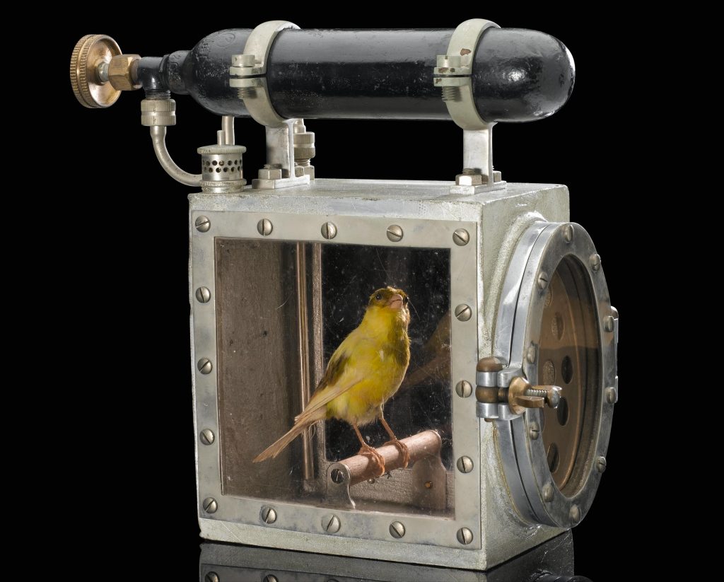 A canary resuscitator - an aluminium cage device housing a canary, used to warn miners of the presence of carbon monoxide