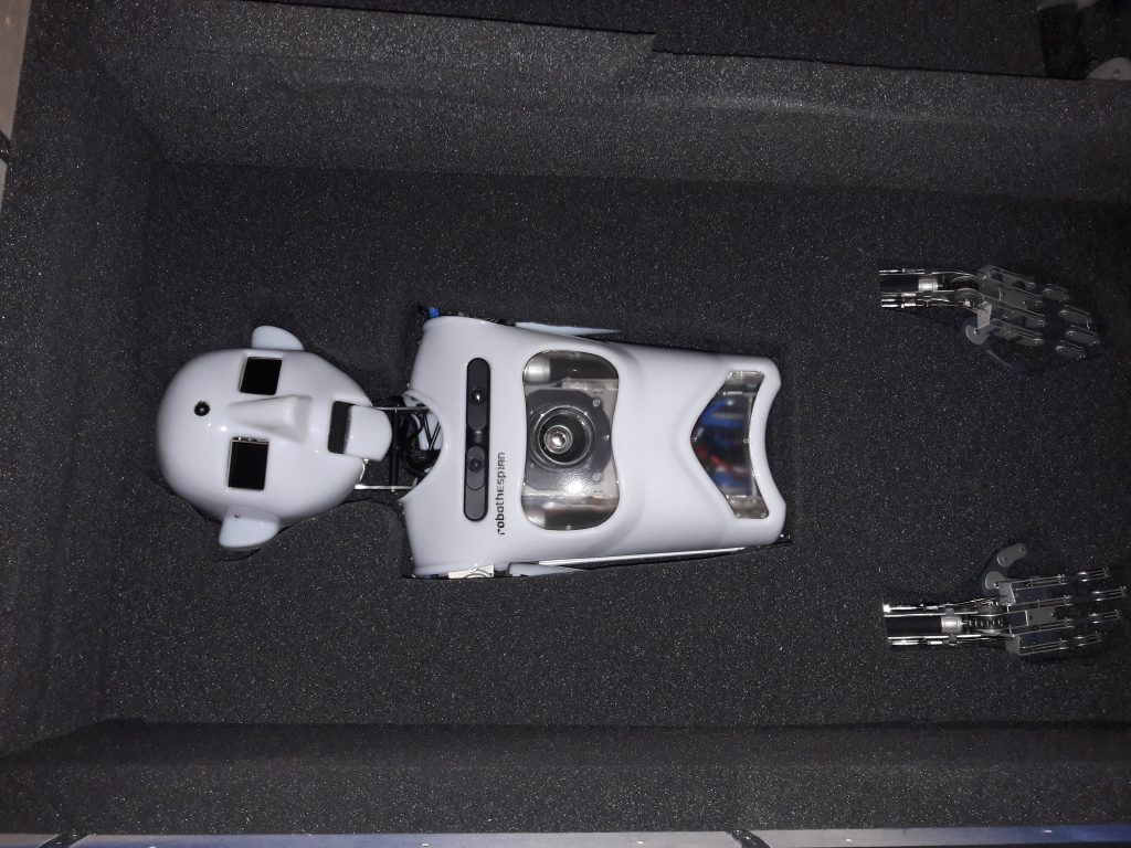 A humanoid face and torso made from white plastic in a case packed with black foam