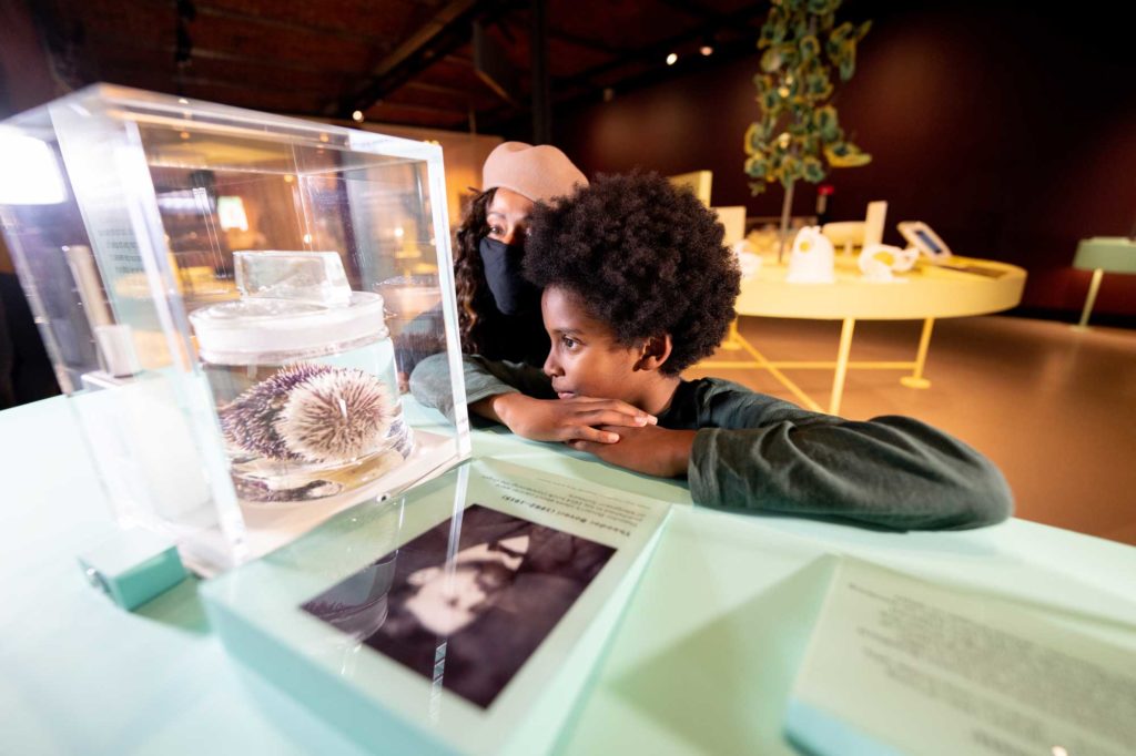 Mother and son looking at a display in an exhibition