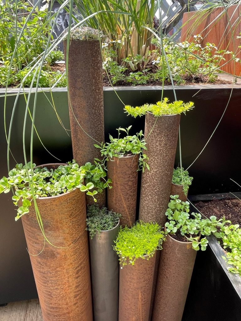 A series of metal pipes with plants growing out the top of them