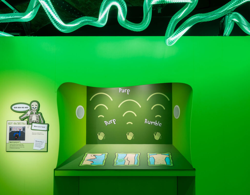 An interactive display in a museum