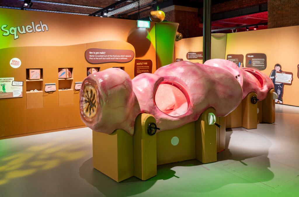 An interactive display in a museum